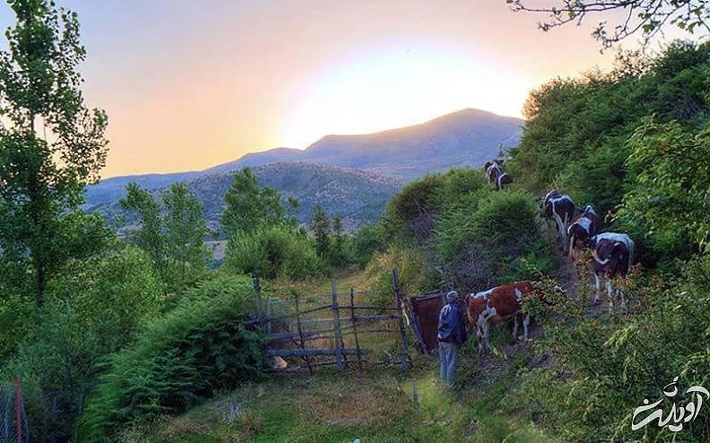 روستای داماش رودبار